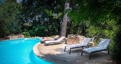 Typical Provencal villa, pool, luxurious amenities