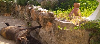 Gite Troglodyte Atypique - Suite du Jardin, vue sur la Loire - près des châteaux