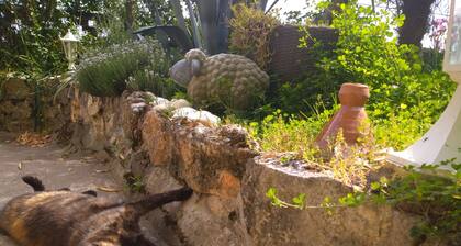 Gite Troglodyte Atypique - Suite du Jardin, vue sur la Loire - prĂšs des chĂąteaux