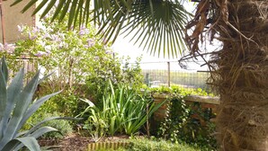 Ein Garten mit verschiedenen Pflanzen, darunter eine Palme, und eine Ziegelmauer im Hintergrund.