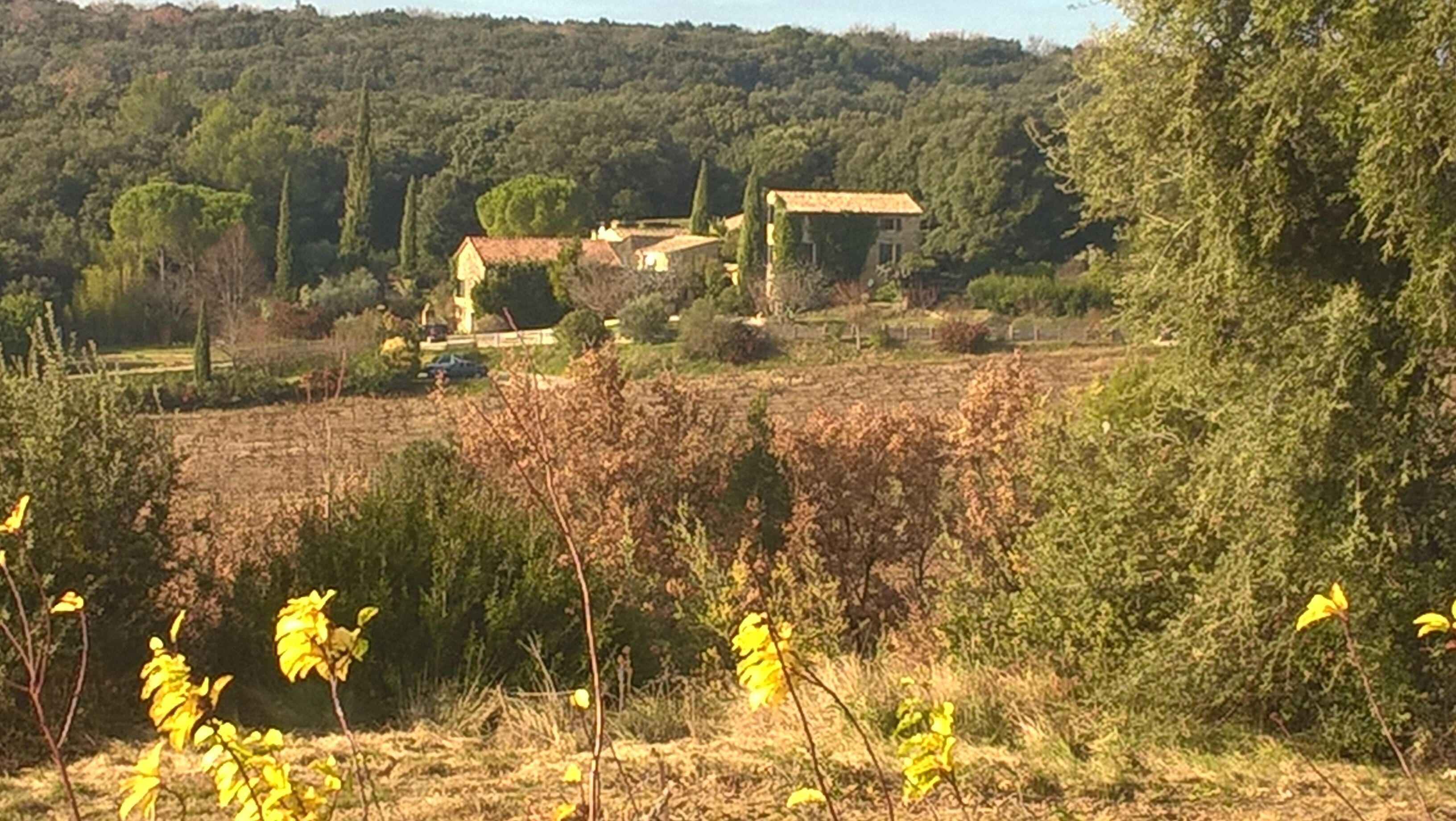 Paisaje rural con una casa rodeada de campos y árboles.