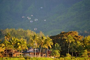 A tropical resort with palm trees and a house surrounded by lush greenery. - Kauai Sunrise, Rainbows, Ocean Views & 15th Fairway of Makai (Princeville)