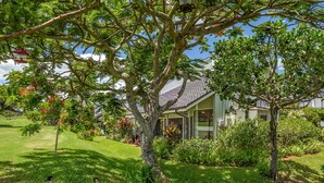 A house with a well-maintained lawn, a large tree, and two geese. - Kauai Sunrise, Rainbows, Ocean Views & 15th Fairway of Makai (Princeville)
