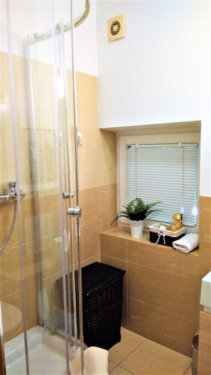 Une salle de bain avec une douche à parois de verre, une fenêtre avec des stores, une plante en pot et une petite étagère contenant des articles de toilette.