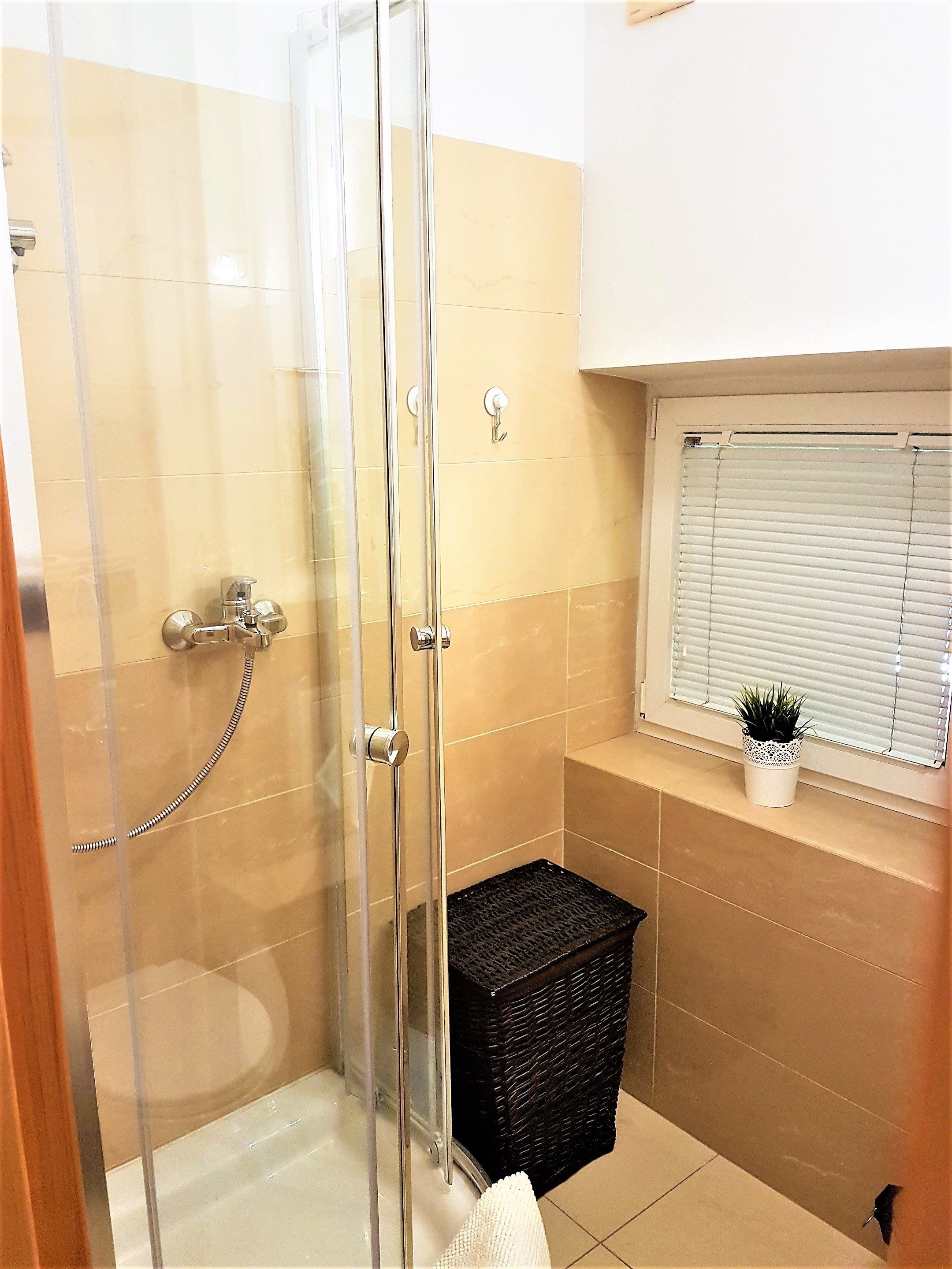 Un baño con cabina de ducha de vidrio, una cesta de mimbre negra y una pequeña planta en maceta sobre una estantería.