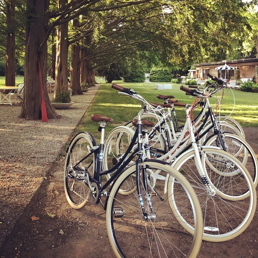 A row of bicycles parked along a path in a park-like setting with trees and a building in the background.