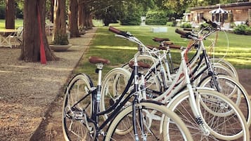 A row of bicycles parked along a path in a park-like setting with trees and a building in the background.