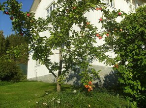 Overnatningsstedets område