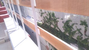 A balcony with a wooden railing, a mesh wall, and green vines growing on it. - Terrazas del Abasto (Rosario)