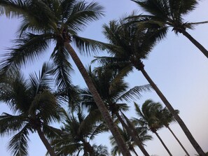 Miscellaneous - Hotel Arista Bugambilias (Tonalá)