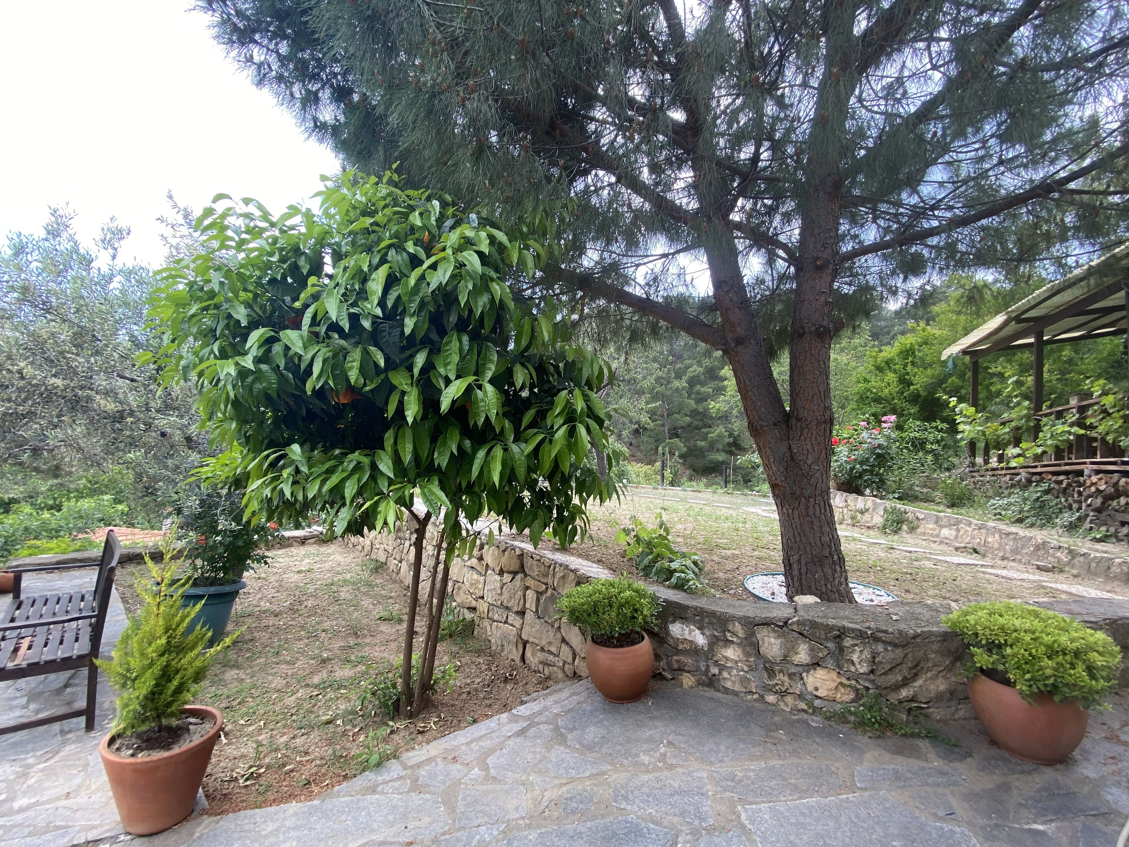 exclusive room | living area | 33-inch lcd tv with satellite channels, tv