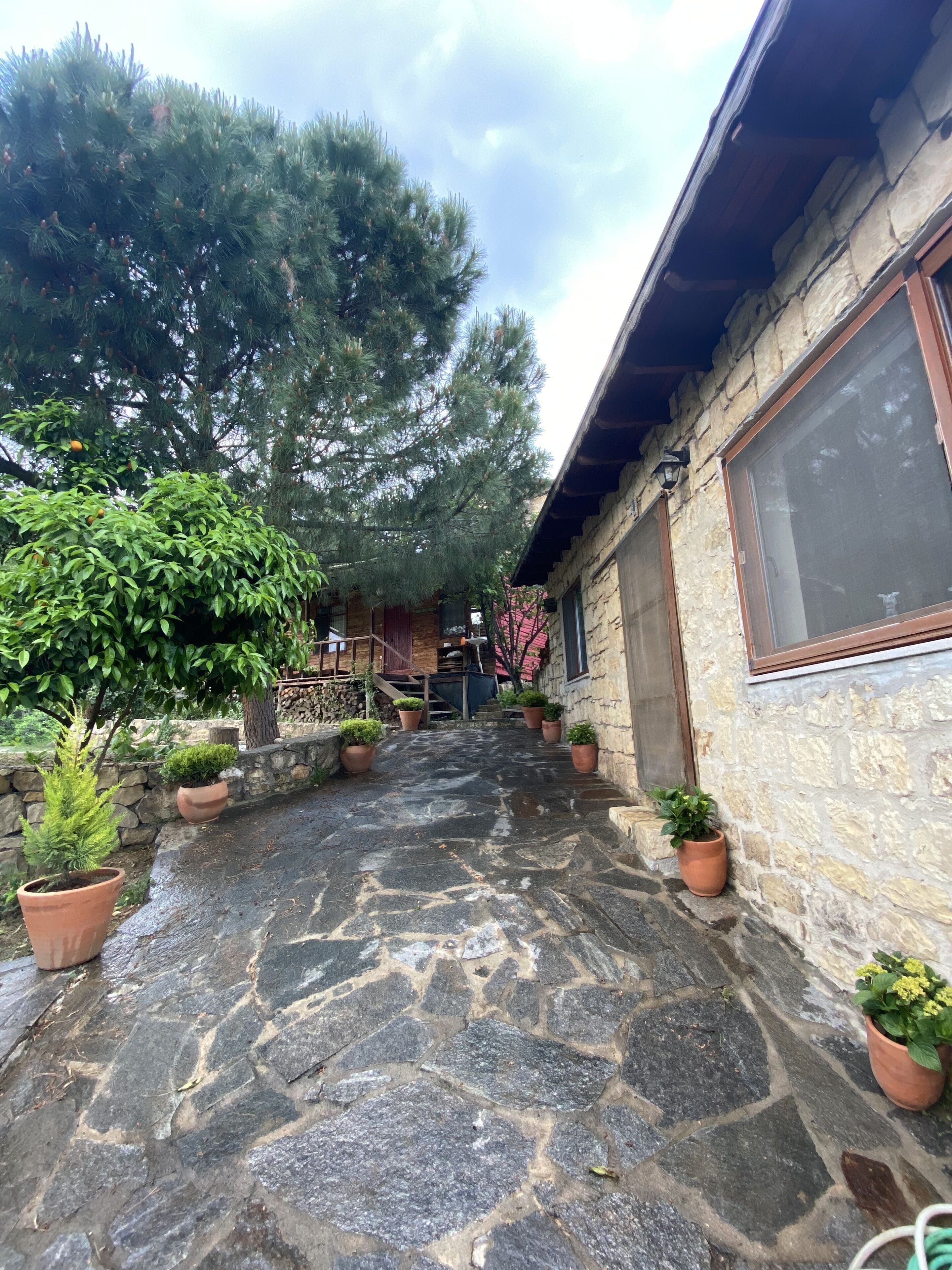 exclusive room | premium bedding, free minibar items, individually decorated