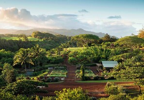 Room | Property amenity - The Lodge at Kukui’ula (Koloa)