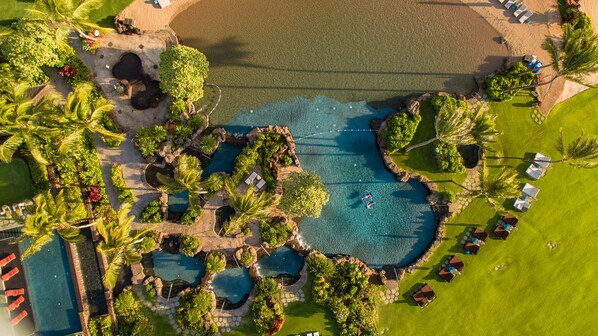 Relax by the pool surrounded by lush landscaping and palm trees.