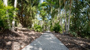 A paved pathway through a tropical garden with various trees and plants. - Getaway Ocean Views (Cannonvale)