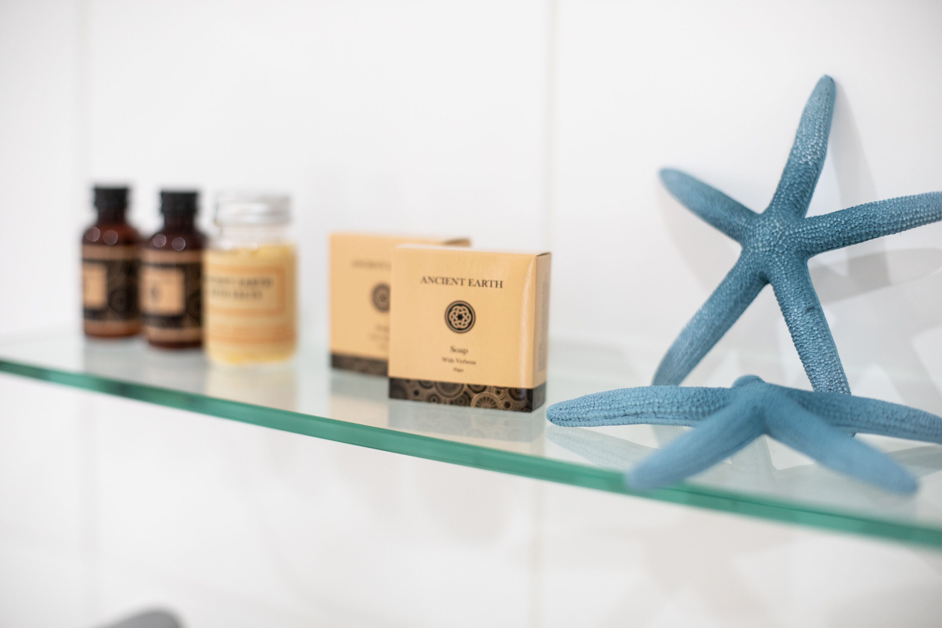 A shelf with three bottles and two boxes labeled "Ancient Earth," a blue starfish, and a glass surface.