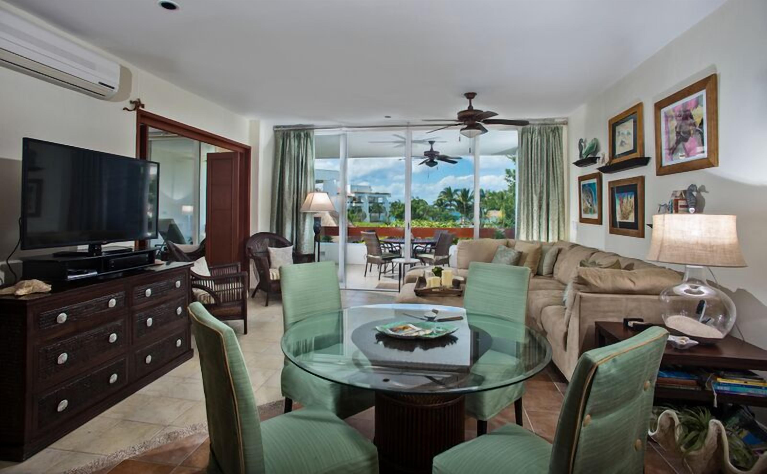 TV, DVD player, books, music library