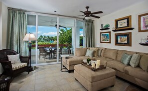 TV, DVD player, books, music library