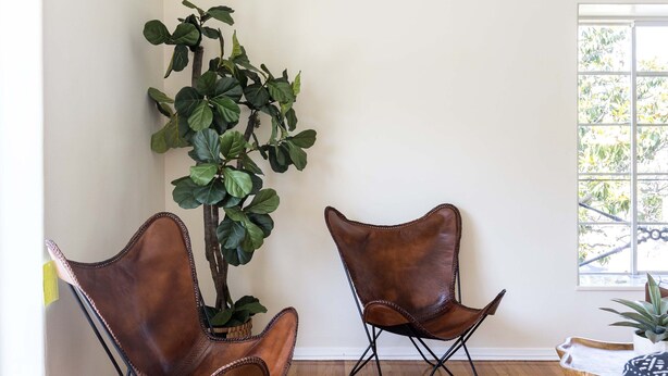 Een kamer met twee lederen fauteuils, een plant in pot en een raam met uitzicht op bomen.