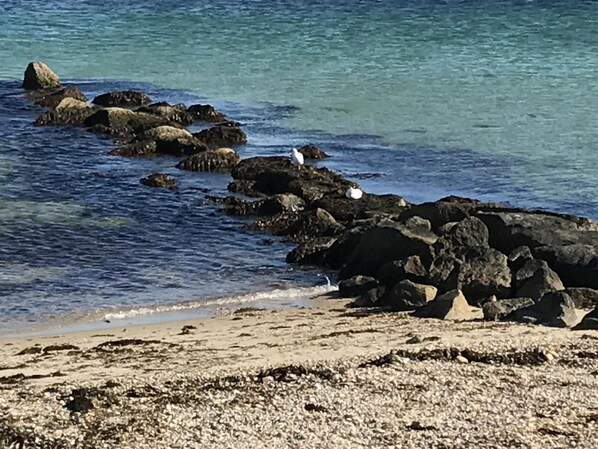 On the beach, sun-loungers, beach towels