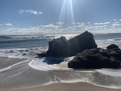Beautiful Beachfront “Oasis by the Sea” in the Heart of Oak Bluffs!  