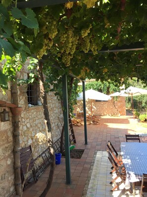 A rustic outdoor seating area with a stone wall, a pergola covered with grapevines, and a tiled patio.