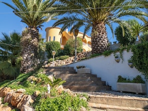 A staircase leading to a building with a yellow facade, surrounded by palm trees and greenery.