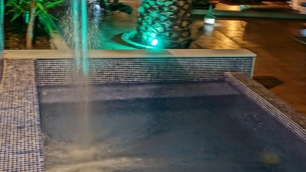 Un jacuzzi con una palmera y una cascada.