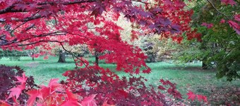 VISTAS IMPRESIONANTES de los Cotswolds, AONB