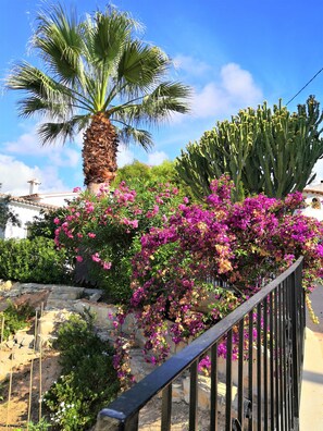 Property grounds - Pretty villa with terraces, private pool, lounge bar area, near the sea (Benissa)