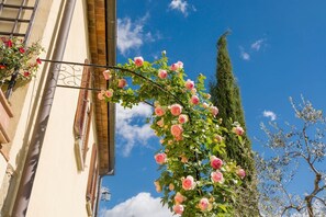 Detalle del exterior