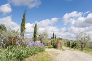 Property grounds - Old farmhouse surrounded by olive groves, near the village, 5 places, first floor, swimming pool (Monte San Savino)