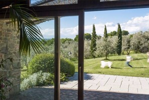 Interior - Old farmhouse surrounded by olive groves, near the village, 5 places, first floor, swimming pool (Monte San Savino)