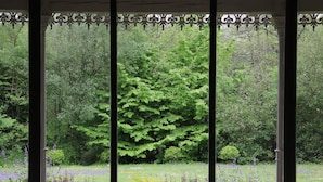 Blick durch ein Fenster mit Metallgitter auf einen üppigen, grünen Garten mit verschiedenen Pflanzen und einem großen Baum.