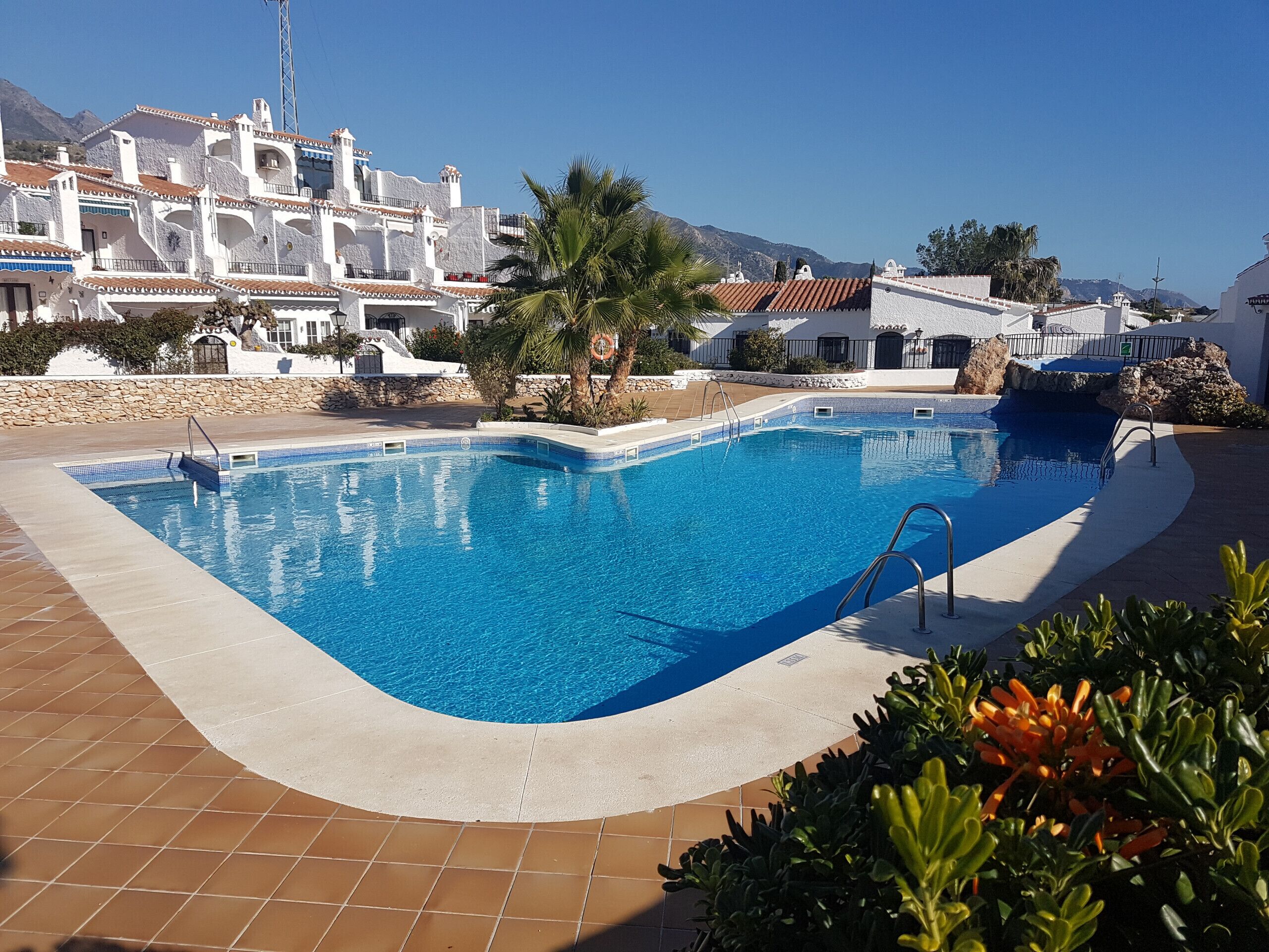 A swimming pool with a tiled edge, surrounded by a stone wall and palm trees.
