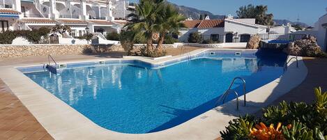A swimming pool with a tiled edge, surrounded by a stone wall and palm trees.
