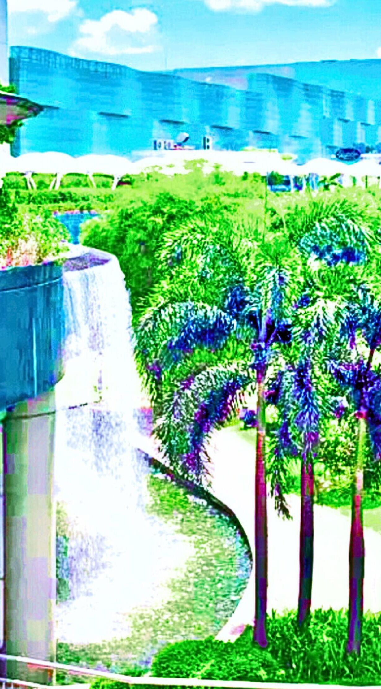 外觀