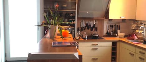 Fridge, oven, stovetop, dishwasher