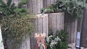 Un muro de piedra con diversas plantas y una figura decorativa de reno.