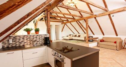 Etat de l'art lié à l'antiquité; 200 mÚtres du lac; 10 minutes de la piste de ski,