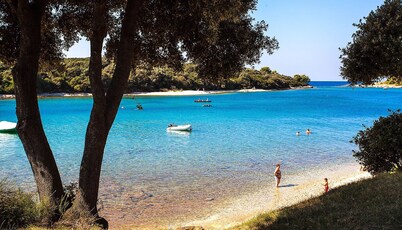 Apartment A Villa Olga (pool, jacuzzi) 125 meters from the sea