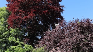 A garden with various trees, including a prominent red tree and a white flowering bush. - Charming house with flower garden (beach 10min walk) (Dieppe)