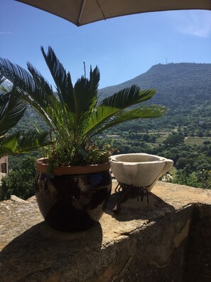 A potted plant and a stone bowl on a ledge with a view of a hilly landscape. - the little house of Pigna (Ile rousse)