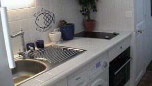 Cuina amb un rentaplat, una màquina de rentar i una planta en test.