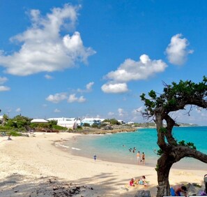 Camastros y toallas de playa 