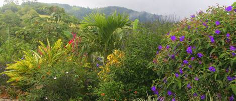 Terrain de lâhĂ©bergement