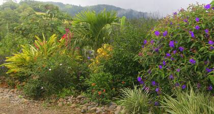 Beautiful Bella Vivace with Rolling Mountain and Bay of Nicoya Views