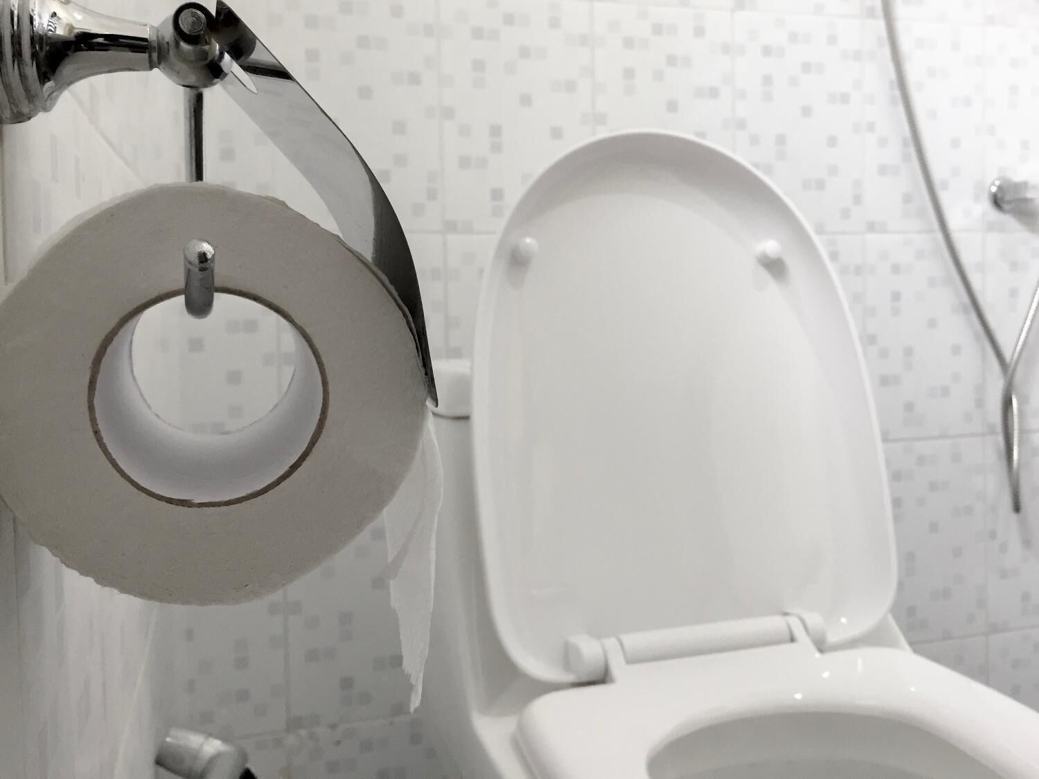 A toilet with a tank and a bidet attachment.