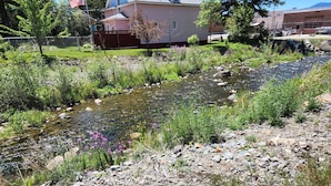 En klar å med sten og vegetation, et boligområde med huse, og et amerikansk flag.