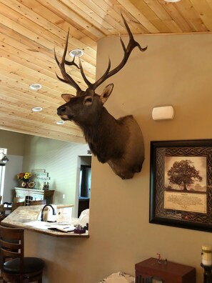 Interior - Big Log Cabin Home, Large Back Deck Overlooking Cedar Creek ~ Close To Downtown (Ruidoso)